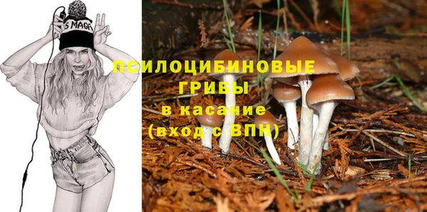 твердый Верея