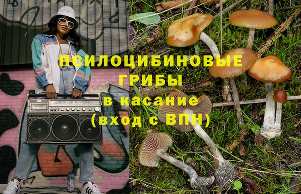 2c-b Верхний Тагил