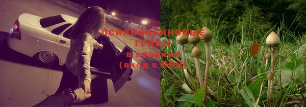 твердый Верея